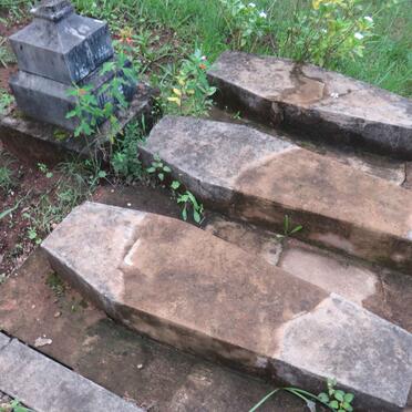 ESTMENT Henry James -1864 :: ESTMENT Amy Rebecca -1874 :: ESTMENT Septimus Levi -1876 _1