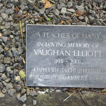 ELLIOTT Vaughan 1931-2013