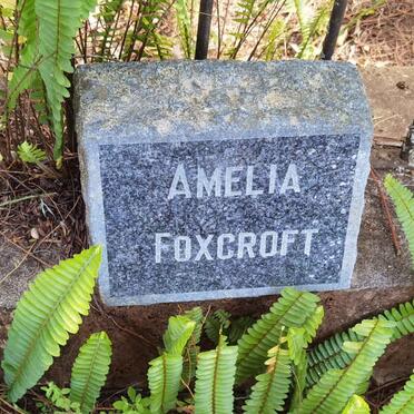 FOXCROFT Amelia