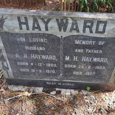 HAYWARD M.H. 1859-1927 :: HAYWARD A.H. 1883-1970