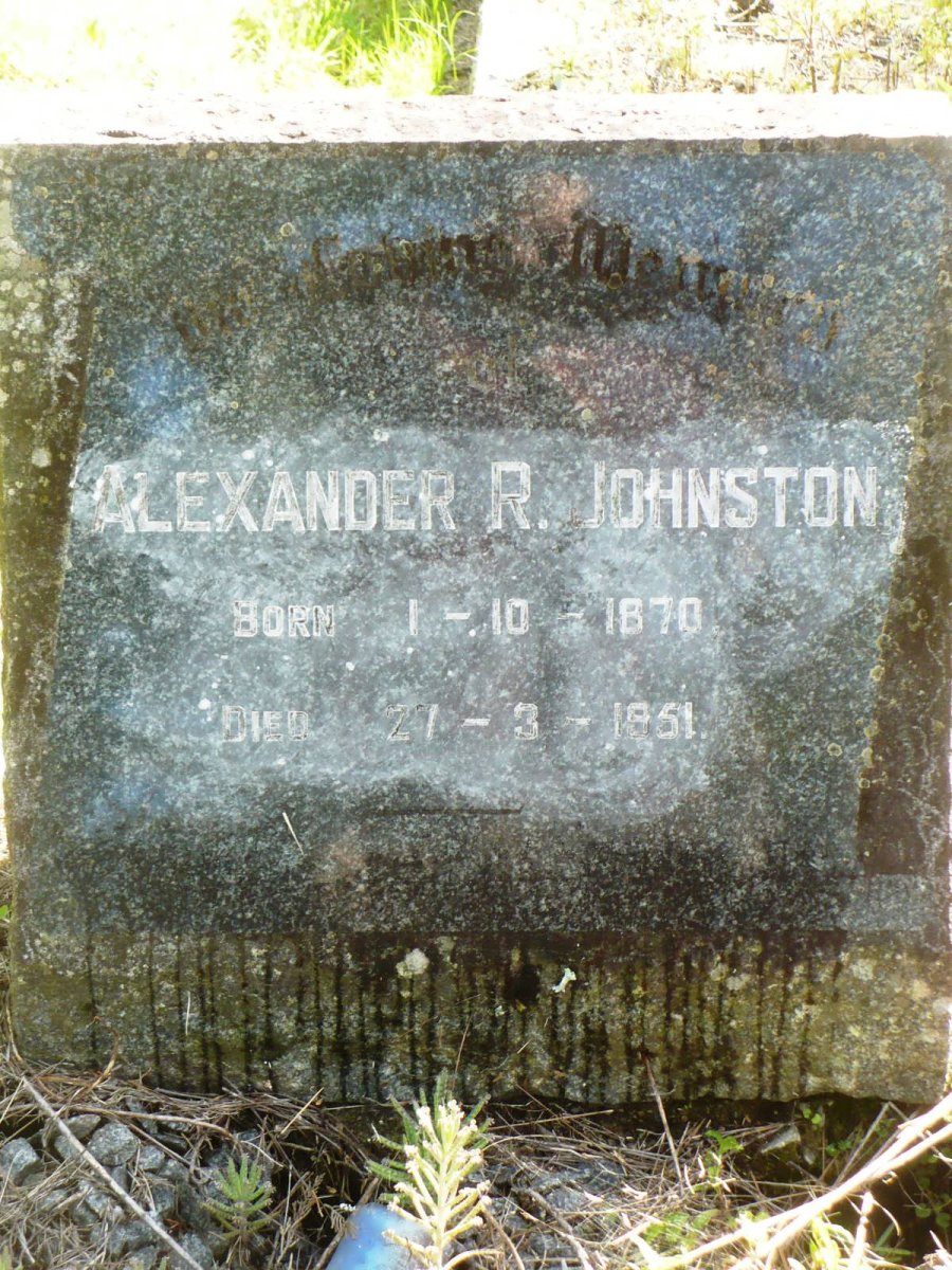 JOHNSTON Alexander R. 1870-1951