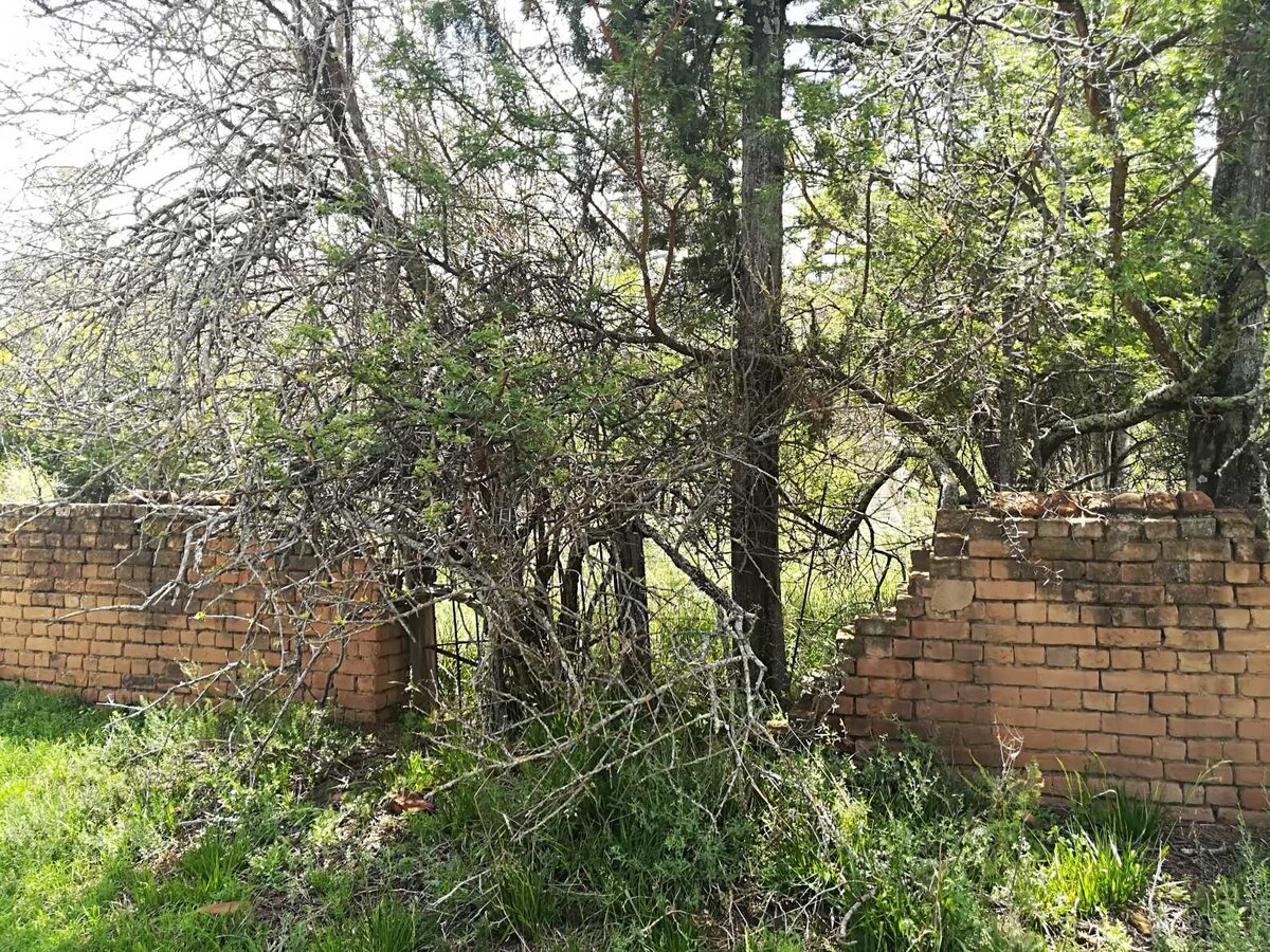 1. Overview / Oorsig