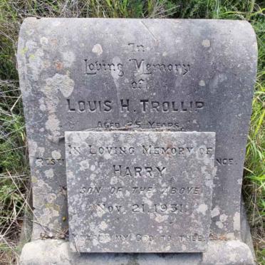 TROLLIP Louis H. :: TROLLIP Harry -1931