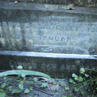 MAPHAM Jimmy 1916-1919