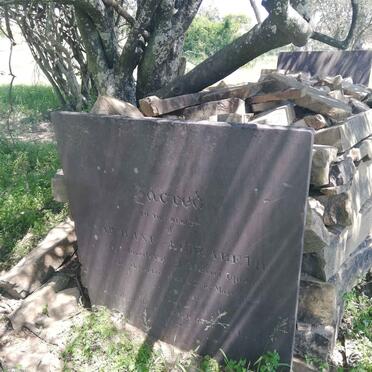 UPTON Caroline Elizabeth nee ENGELA -1856