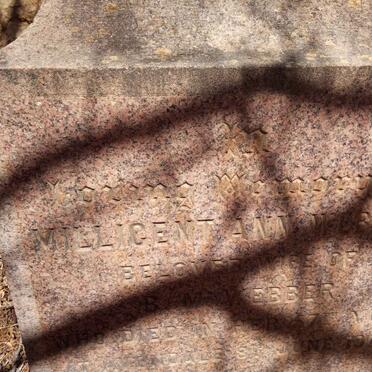 WEBBER Millicent Ann -1902