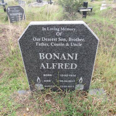 BONANI Alfred 1974-2017