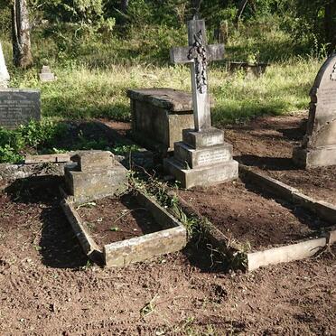 7. After a clean up of the Fitchet plot