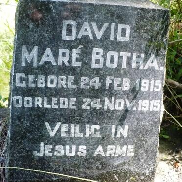 BOTHA David Mare 1915-1915