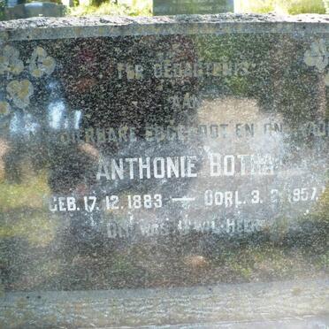 BOTHA Anthonie 1883-1957