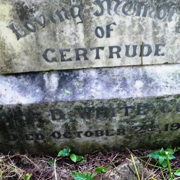 COOPER Gertrude, White  -1930