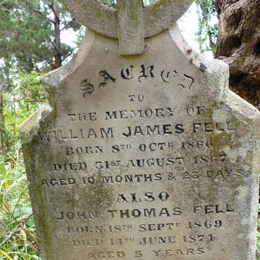 FELL William James 1866-1867 :: FELL John Thomas 1869-1871