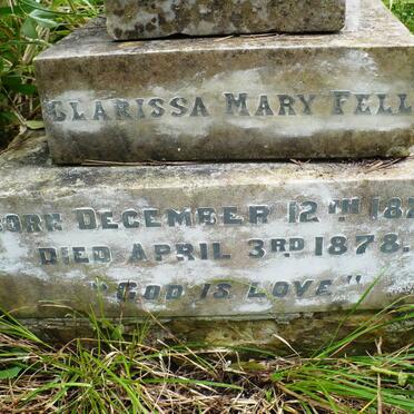 FELL Clarissa Mary 1873-1878