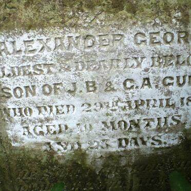 GUNN Alexander George -1874 :: GUNN Arthur John -1875 