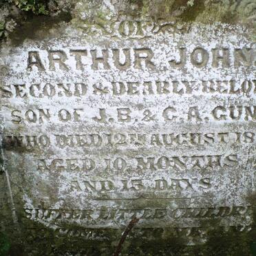 GUNN Arthur John -1875