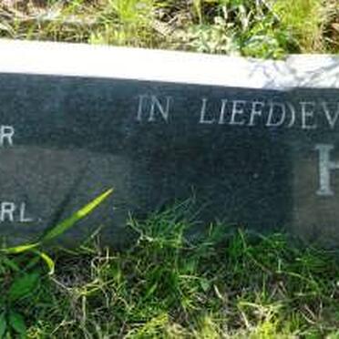 HASELAU E.F.E. 1901- &amp; F.J.C. ALLEN 1908-1986