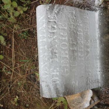 LANGE Jonathan, de 1941-1941