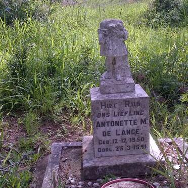LANGE Antonette M., de 1950-1951