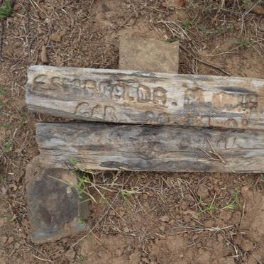 OLIFANT Esmarelda M.