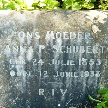 SCHUBERT Anna P. 1853-1938