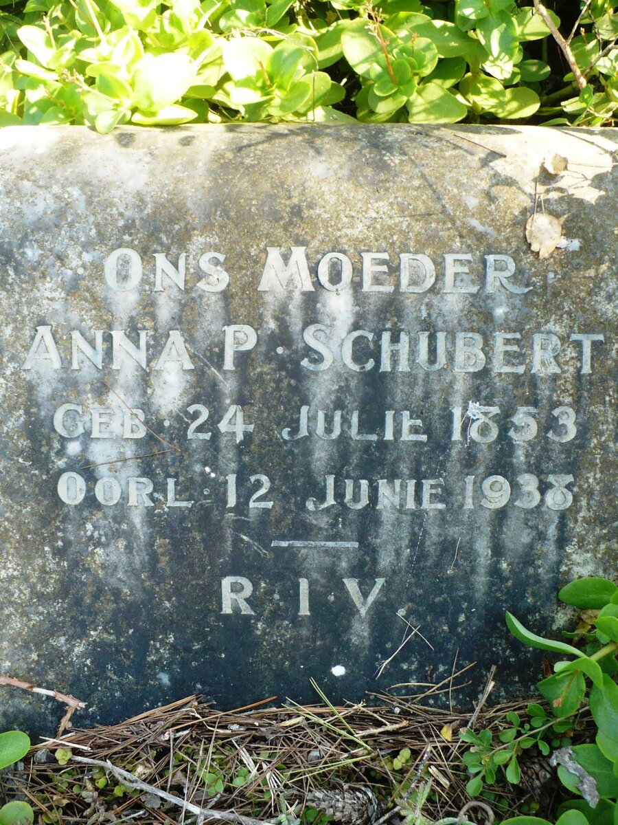 SCHUBERT Anna P. 1853-1938