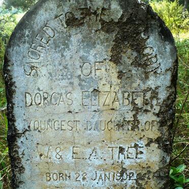 TREE Dorcas Elizabeth 1902-1920