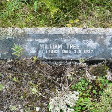 TREE William 1863-1937 &amp; Ann Elizabeth 1858-1944
