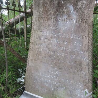 WEBBER Edward Solomon -1881 :: WEBBER Arthur -1883