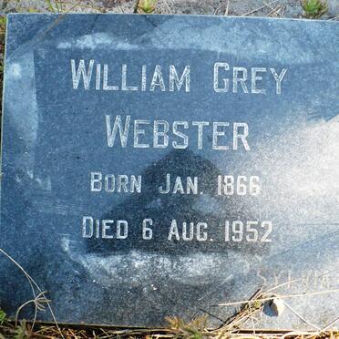 WEBSTER William Grey 1866-1952