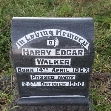 W - Surnames :: Vanne - W