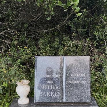 BAKKES Julius 1929-2007