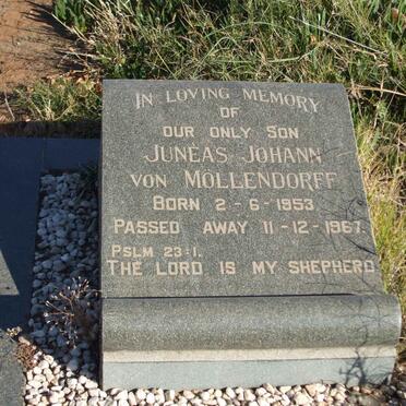 MÖLLENDORFF Junéas Johann, von 1953-1967