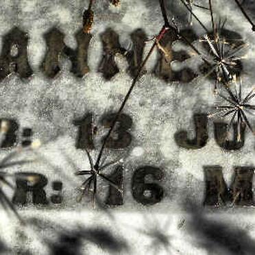 AUCAMP Johannes 1893-1920 :: AUCAMP J.J. 1919-1919