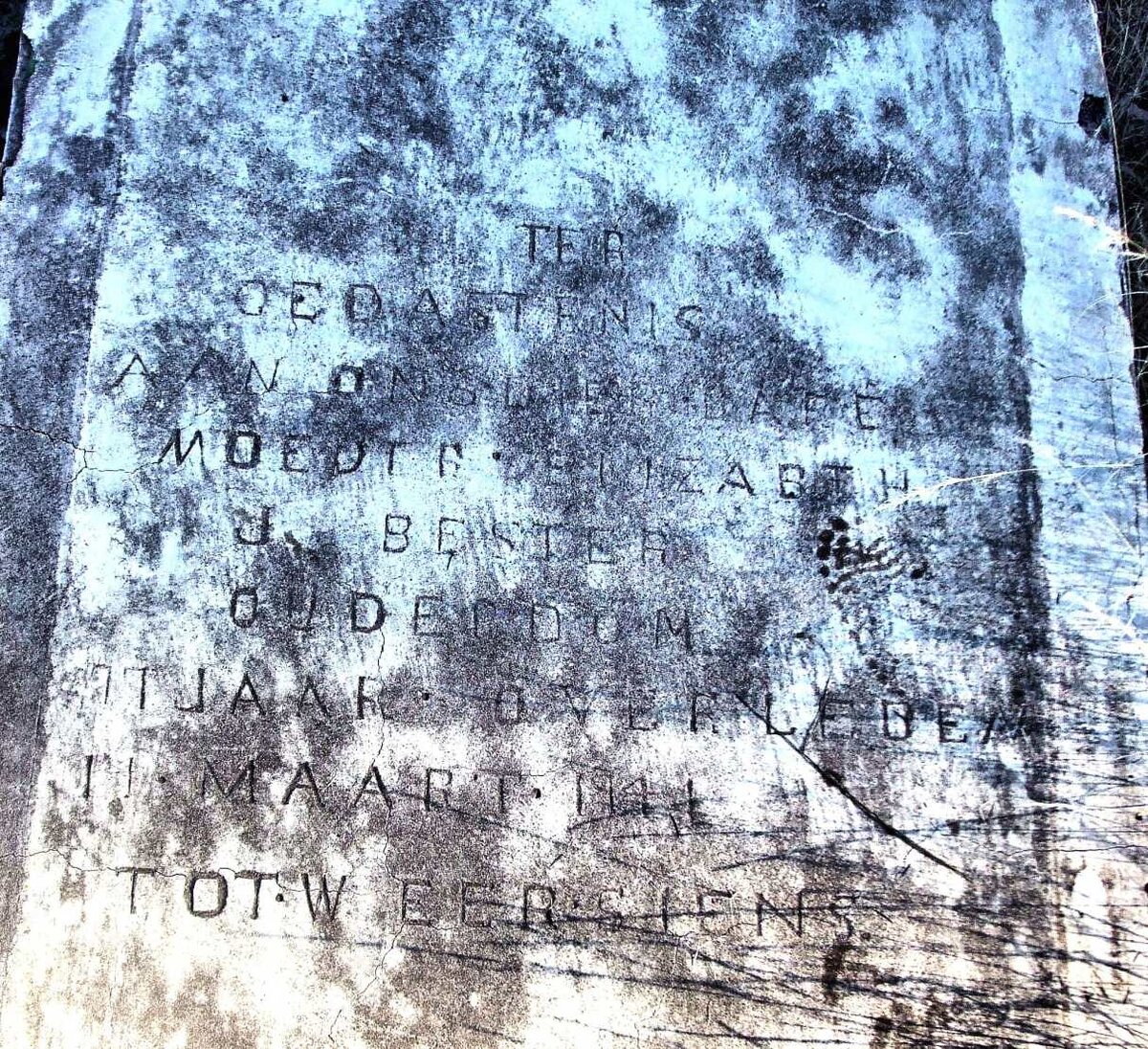 BESTER Elizabeth J. 1867-1944