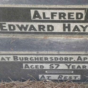 HAYTER Alfred Edward -1918