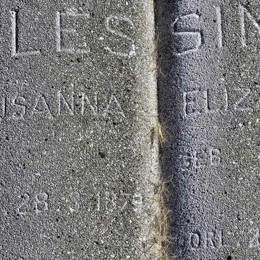 LESSING Susanna Elizabeth nee STEYN 1879-19?