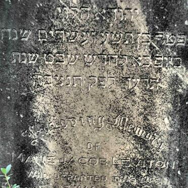 LEVITON Mane Jacob -1914