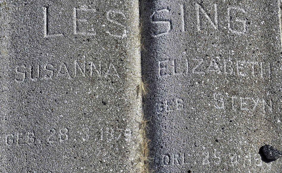 LESSING Susanna Elizabeth nee STEYN 1879-19?