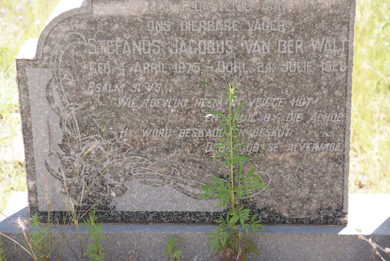 WALT Stefanus Jacobus, van der 1875-1928