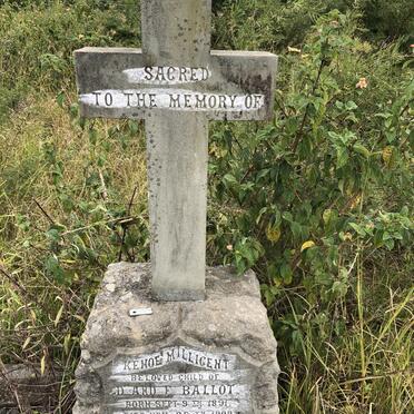 BALLOT Kenoe Millicent 1891-1909