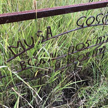 GOGODLA Musa 1977-1999