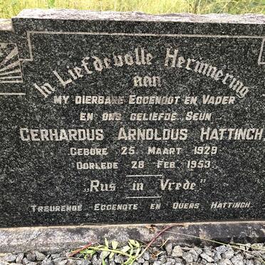 HATTINGH Gerhardus Arnoldus 1929-1953