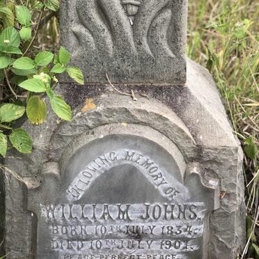 JOHNS William 1834-1901