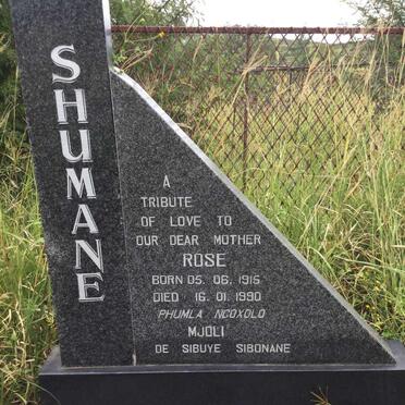 SHUMANE Rose 1916-1990