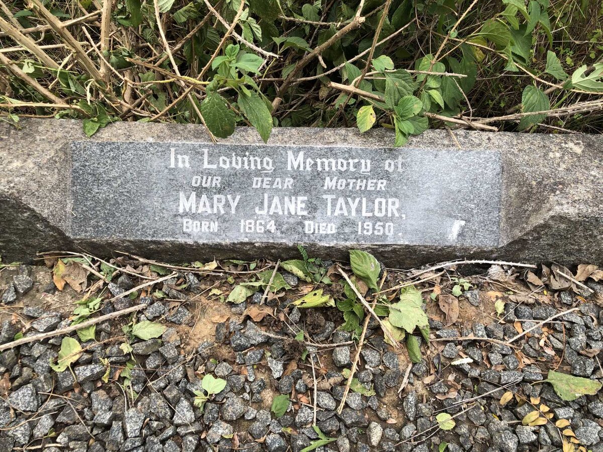 TAYLOR Mary Jane 1864-1950