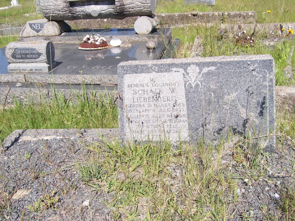 LIEBENBERG Schalk W. 1888-1957