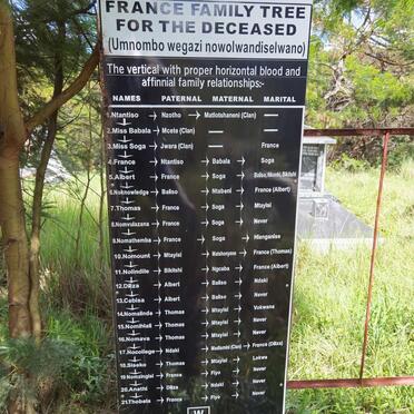 3. FRANCE family tree for the deceased