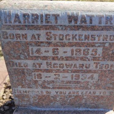WATTRUS Harriet 1865-1934