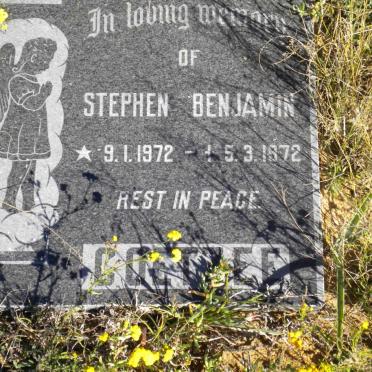 COETZEE Stephen Benjamin 1972-1972