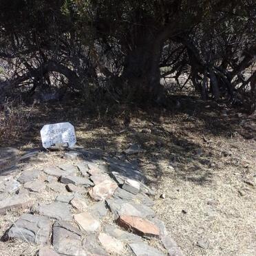 SCHEEPERS Griet 1954-2008